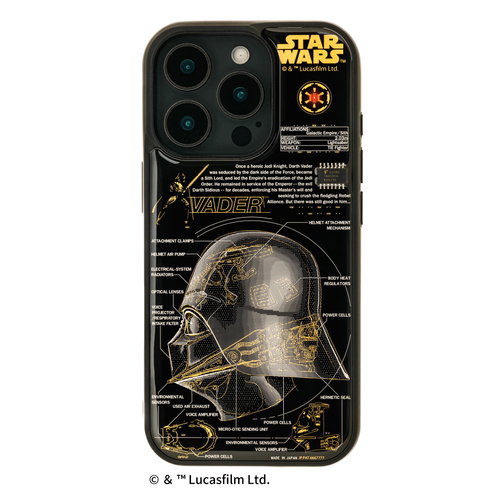 FLASH Darth Vader 基板アート iPhone 16Pro ケース