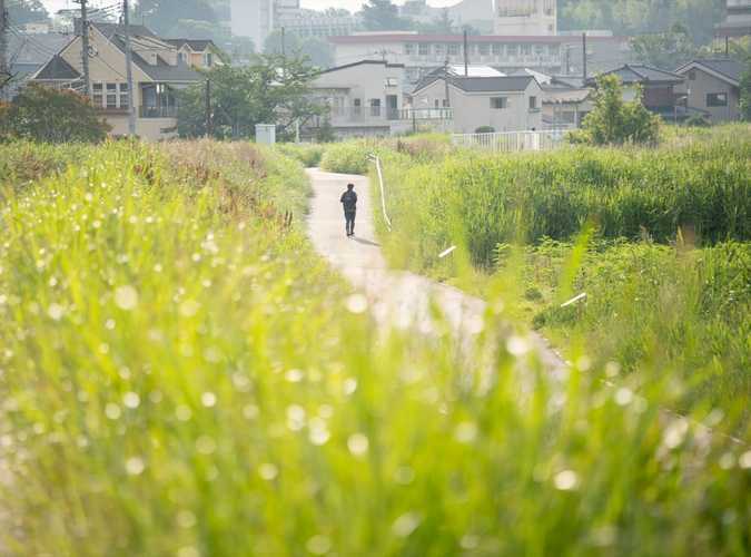 手賀沼沿いに続く散歩道