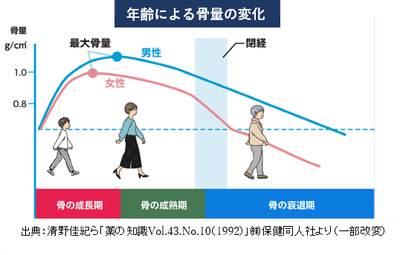 年齢による骨量の変化