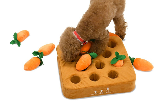 ペットのノーズワークに！ぬいぐるみの下におやつを隠して、早食い防止や嗅覚トレーニング