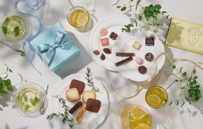 トレフルブラン（モロゾフ）