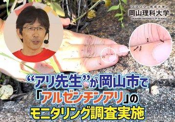 【岡山理科大学】“アリ先生”が岡山市で「アルゼンチンアリ」のモニタリング調査実施