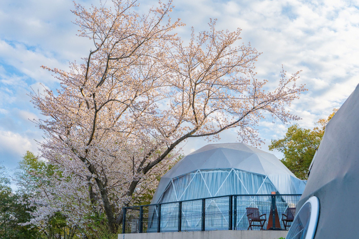 ※オーシャンテラス ＜サクラ＞  外観