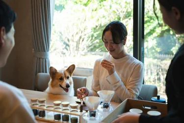【1日4組限定】VILLAなのに、ここまでしてくれる　愛犬との滞在を格上げする「コンシェルジュステイプラン」が熱海に登場
