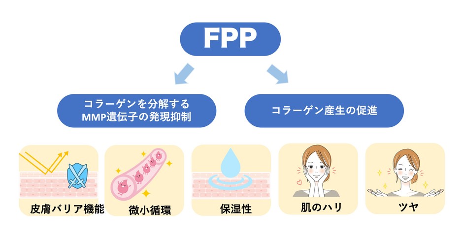 図1 FPPによる皮膚機能改善効果