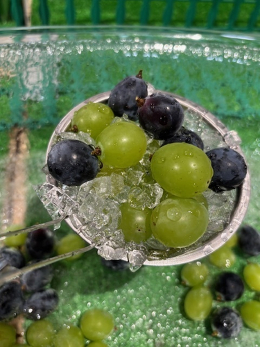 「ぶどうすくい」