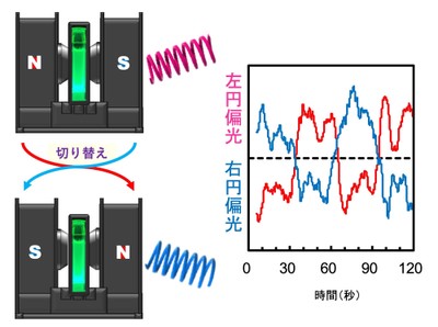 電磁石を用いて、右円偏光・左円偏光を自在に取り出すイメージ図
