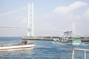 16年目の「淡路島の生しらす」を11月末まで提供！ 今シーズンは全島で64万食超を見込む　 シルバーウィークには道の駅あわじで一時品薄に