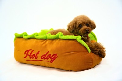 「なりきり!ホットドッグクッション」モデル犬使用イメージ