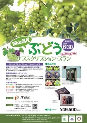 岡山のぶどうが定期的に自宅に届く 「ぶどうサブスクリプション・プラン」を4/3より販売開始