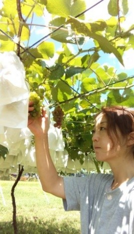 ワイズ・ヴィンヤーズ山崎氏