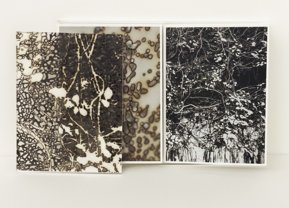 Kosuke Ichikawa 特装版作品集
