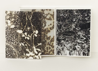 Kosuke Ichikawa 特装版作品集