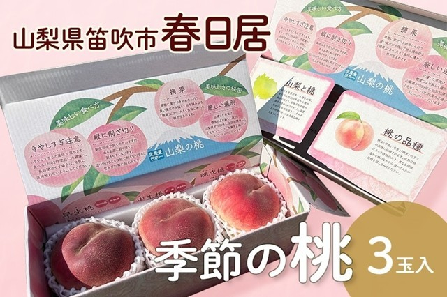 【春日居】季節の桃　3玉入り