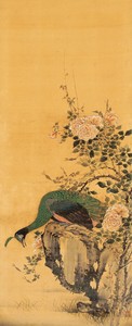 岸駒《孔雀図》（部分）江戸時代後期 善法律寺[前期展示]