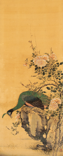 岸駒《孔雀図》（部分）江戸時代後期 善法律寺[前期展示]