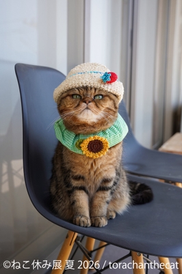 展示作品:torachanthecat