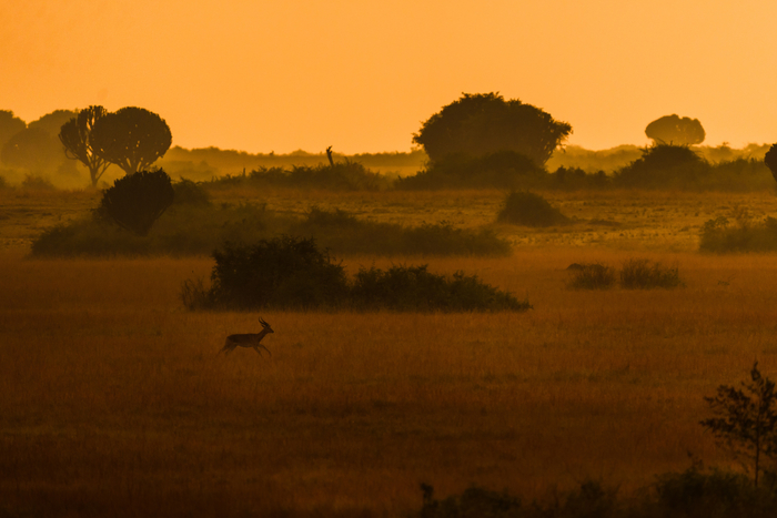 CREATIVE & DIALOGUE no.5