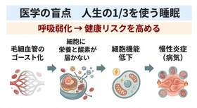 人生の1/3の睡眠中に呼吸が弱くなる──その構造が健康を害する入口だった・シリーズ第4回 酸素不足が赤血球の性能を奪う構造