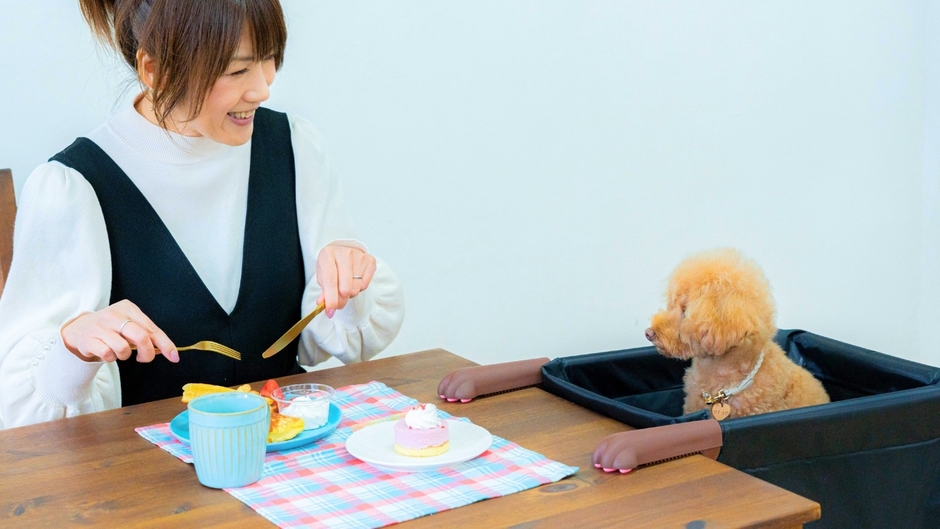 『肉球アームのペットチェア Chocorin(チョコリン)』を使用したテーブル風景。愛犬・愛猫と同じ目線で過ごすことができる