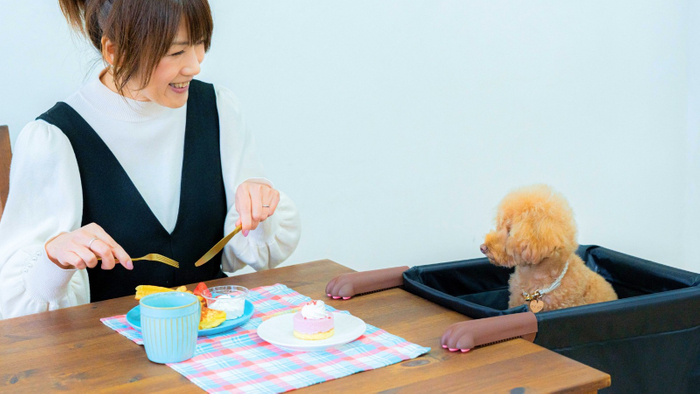Chocorinを使うと、食事中の飼い主の手が自由になる上に、ペットと同じ目線で過ごすことができるようになります