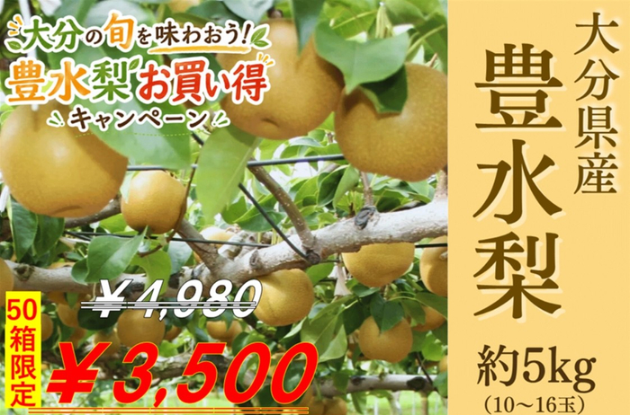 大分県産　豊水梨 約５ｋｇ（Ｒ８年産）