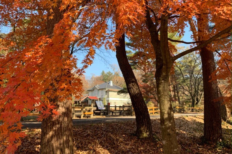 千本松牧場 松方別邸の紅葉