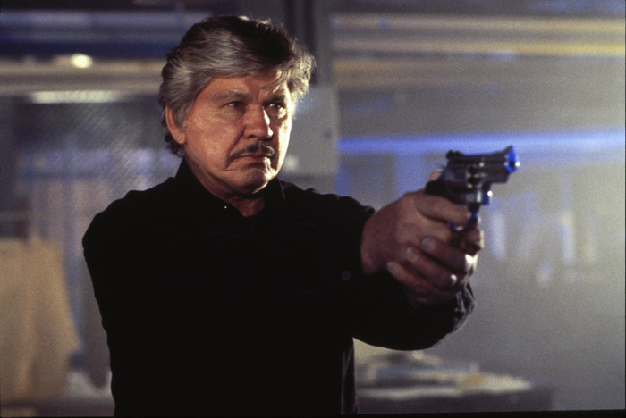 『DEATH WISH／キング・オブ・リベンジ』&copy; 1993 Death Wish 5 Productions, Ltd. All Rights Reserved.