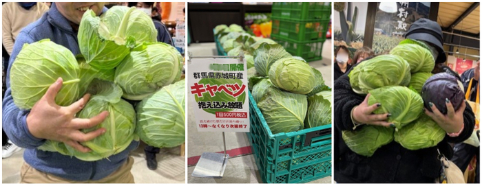 抱え込み放題・キャベツ