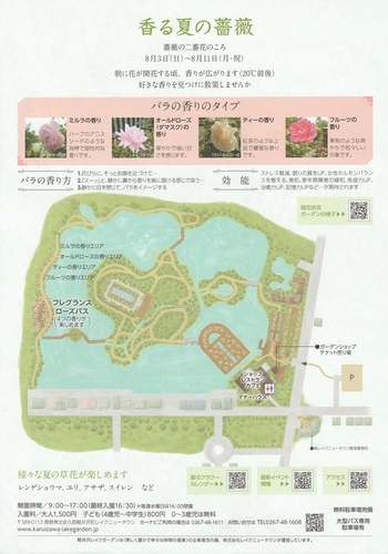 サマーシーズン2025 香る夏の薔薇