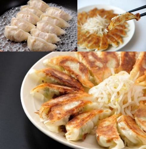 静岡県の野菜たっぷり 浜松餃子（餃子の村長）15ケ入&times;4パック