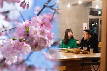 【BBQ&Co】ピクニック感覚で楽しむ、桜×デザートでキュン♡さくら名所100選の明石公園カフェ&レストラン「TTT」、特別プランで春の優雅なひとときを🌸