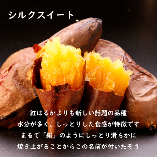 シルクスイート 4本