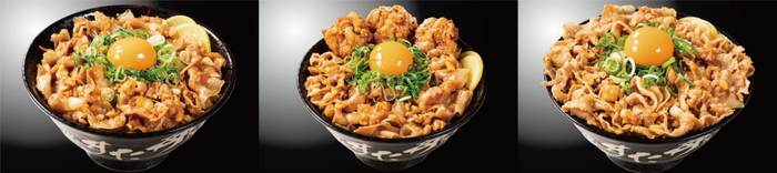 左から『背脂にんにくクラッシュすた丼』『唐揚げ合盛り背脂にんにくクラッシュすた丼』『背脂にんにく&ldquo;大爆発&rdquo;すた丼』