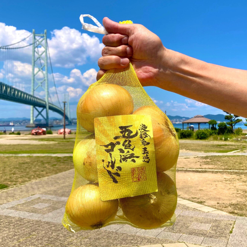 ネットに入った五色浜ゴールド