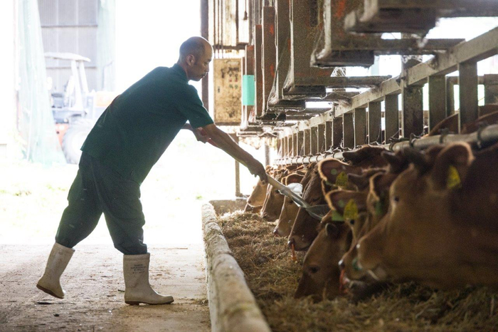 熊本生まれのレア和牛&ldquo;あか牛&rdquo;