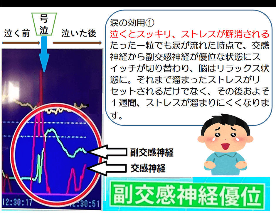 【 自律神経が副交感神経が優位な状態に。一粒の涙を流すだけで一週間ストレス解消効果が持続。 】