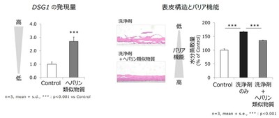 図3　ヘパリン類似物質によるDSG1発現の促進とバリア機能の低下抑制
