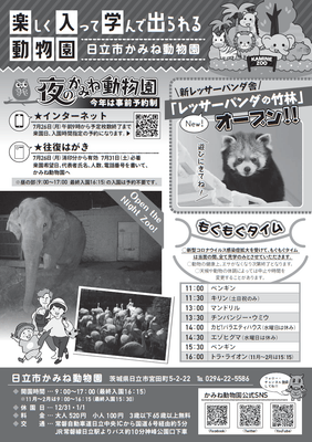 チラシ裏