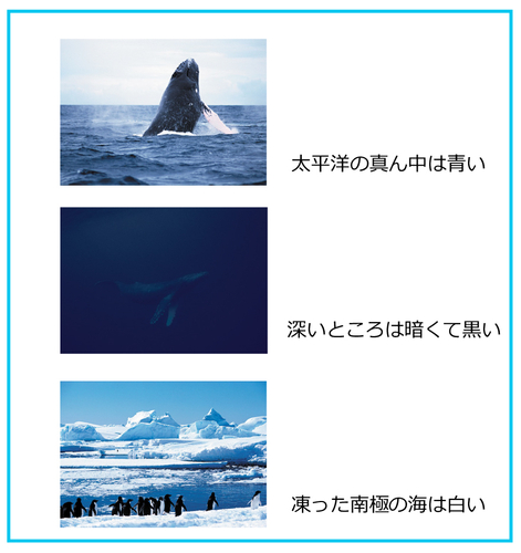 【解説】