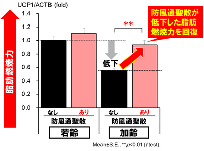 図3:脂肪燃焼力の回復