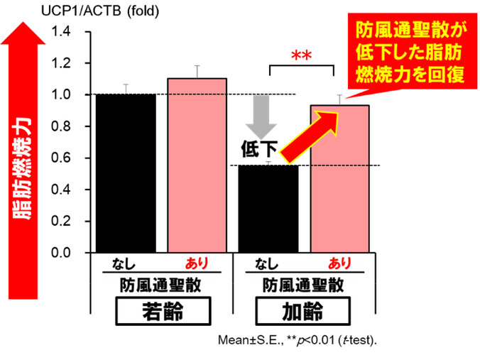 図3：脂肪燃焼力の回復