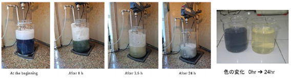 画像(1)染色排水処理試験