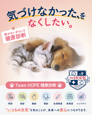 気づけなかった、をなくしたい。