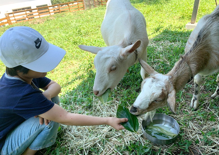 【ココトモワークスジュニア】
