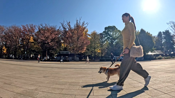 &copy;ＢＳ松竹東急