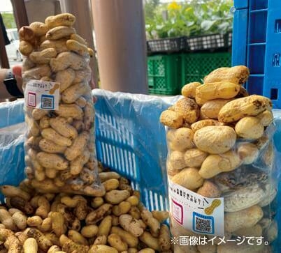 ●生落花生詰め放題(8/29(土)〜計6回)