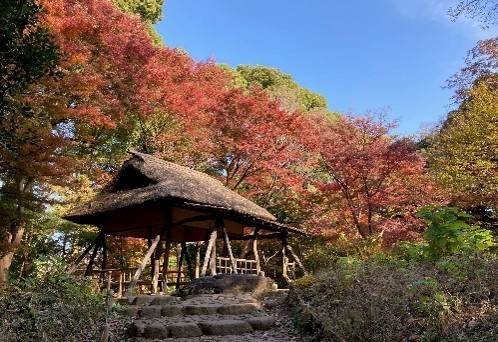 オリジナルポストカード（イメージ）