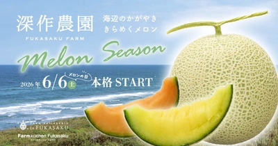 深作農園のメロンシーズン　 6/6(土)メロンの日から本格スタート