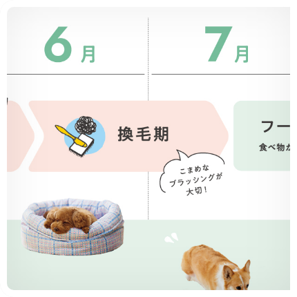 POINT１.季節ごとの健康ポイント